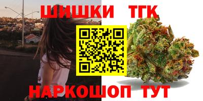 МДПВ Новозыбков