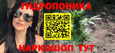 твердый Новодвинск