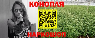 МДПВ Новозыбков