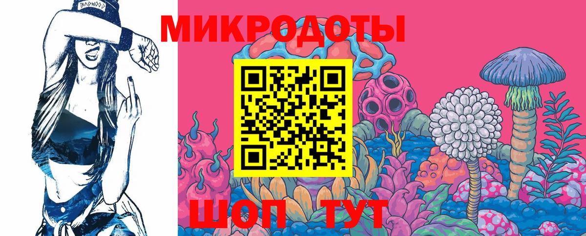 Солнечногорск  Псилоцибиновые грибы Cubensis  Вход с VPN 