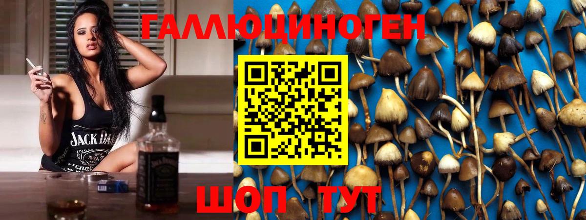 Галлюциногенные грибы прущие грибы Солнечногорск